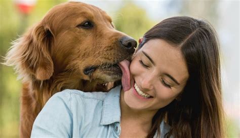 videos de perros con mujeres|Los mejores 100.000+ vídeos de Mujer Con Perro